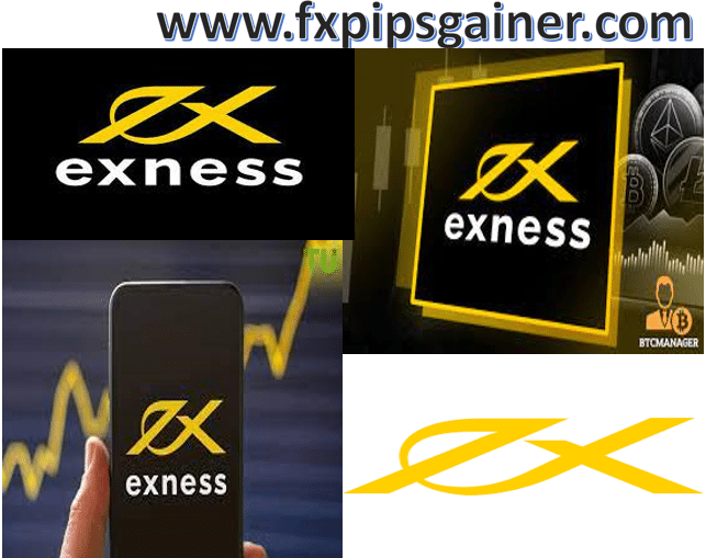 Understanding the Exness Deposit Problem Solutions and Tips