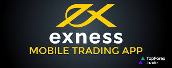Understanding the Exness Deposit Problem Solutions and Tips