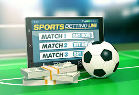 Betwinner Your Ultimate Sports Betting Experience 313446487